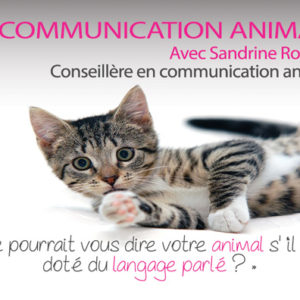 COMMUNICATION ANIMALE – Communication médiumnique avec les animaux