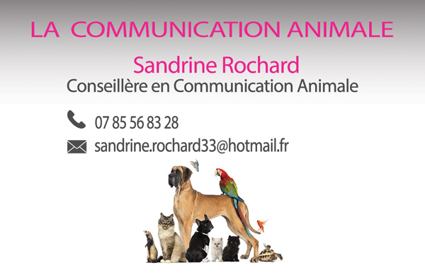 communication-animale-gironde