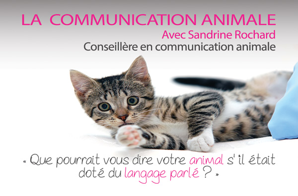 COMMUNICATION ANIMALE – Communication médiumnique avec les animaux